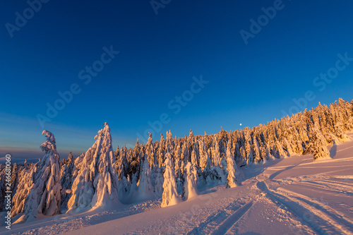 Fototapeta Naklejka Na Ścianę i Meble -  Winter trekking Beskidy mountains Rysianka