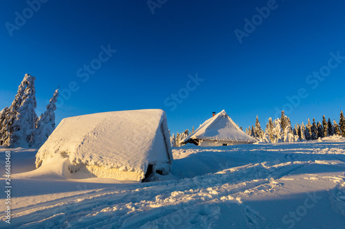 Fototapeta Naklejka Na Ścianę i Meble -  Winter trekking Beskidy mountains Rysianka