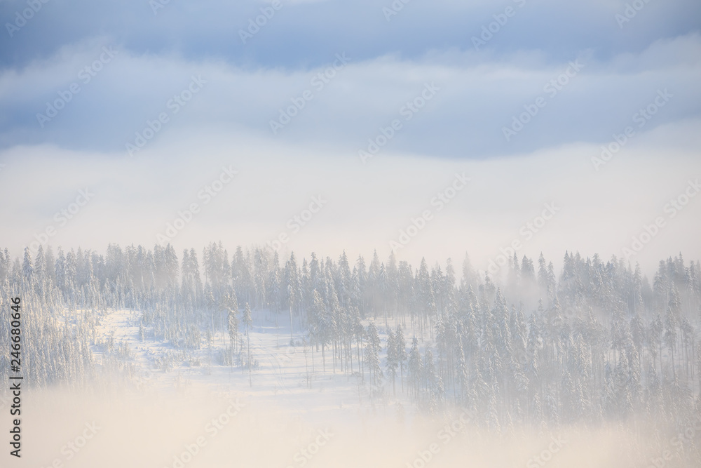 Winter trekking Beskidy mountains Rysianka Winter trekking Beskidy mountains Rysianka