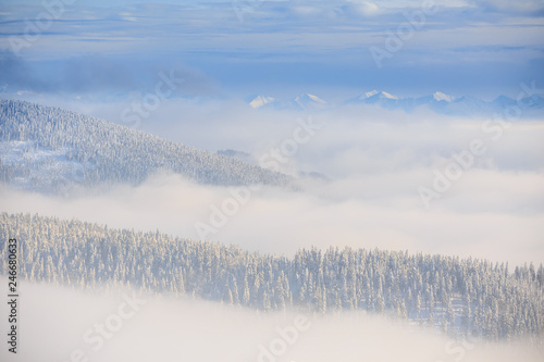 Fototapeta Naklejka Na Ścianę i Meble -  Winter trekking Beskidy mountains Rysianka