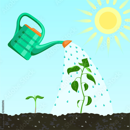 Watering can watering plants in soil. Agronomi infographic template design. Flat design vector illustration. 