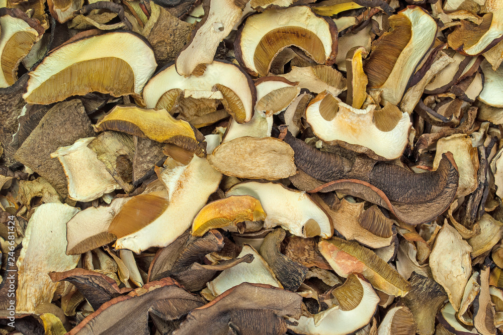 Getrocknete Waldpilze Getrocknete Waldpilze