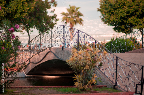 small bridge over the river photo