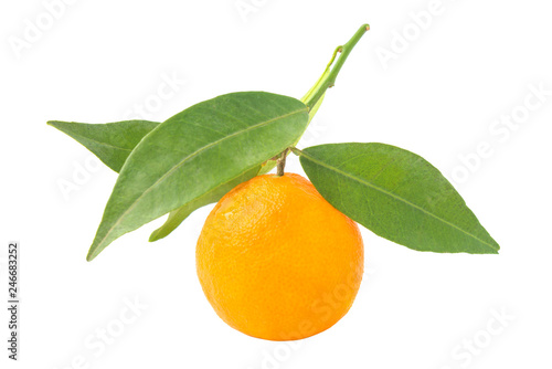 Orange mandarin with green leaf