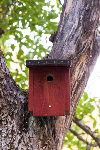 Fototapeta Naklejka Na Ścianę i Meble -  Red wooden bird house in a tree. Home made.