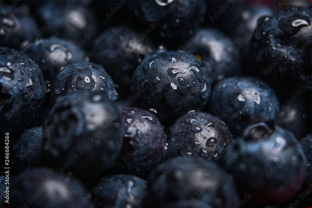 A close up shot of washed fresh organic blueberries with water droplets A close up shot of washed fresh organic blueberries with water droplets