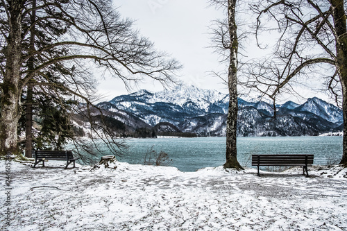 Wallpaper Mural Winter, bench and lake Torontodigital.ca