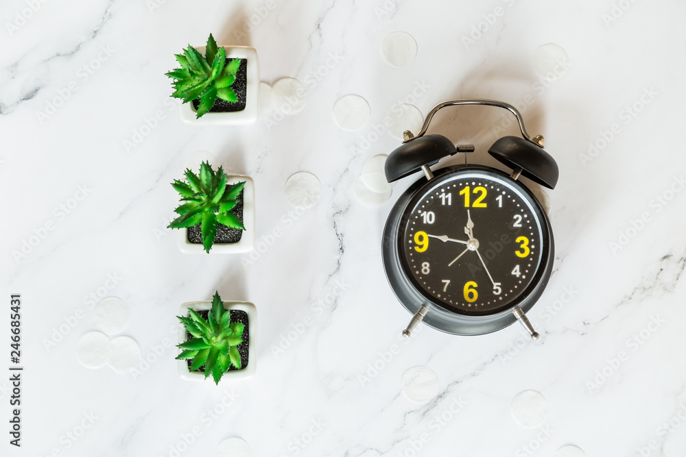 Retro alarm clock, succulent plants on marble background, top view Flat Lay. The concept of time, morning, education.