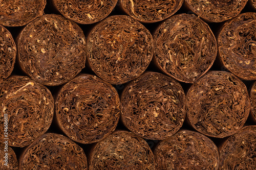 Cuban cigar texture. close-up detail of cigars. background on the topic of cigars photo