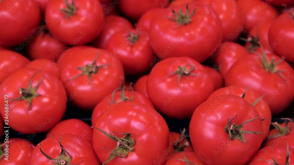 red tomatoes background. Group of tomatoes red tomatoes background. Group of tomatoes