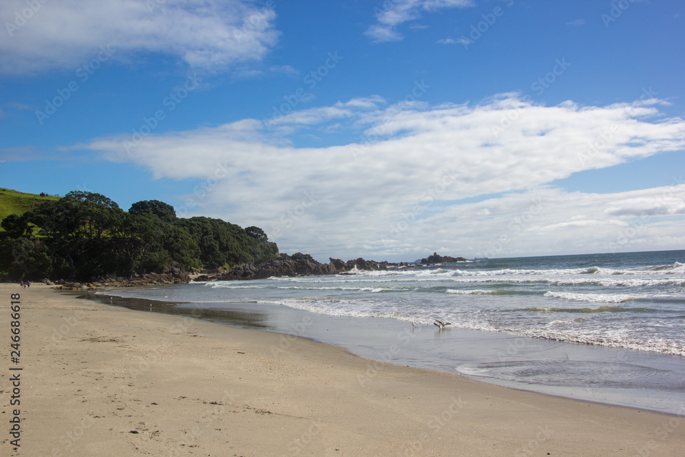 Strand in Neuseeland