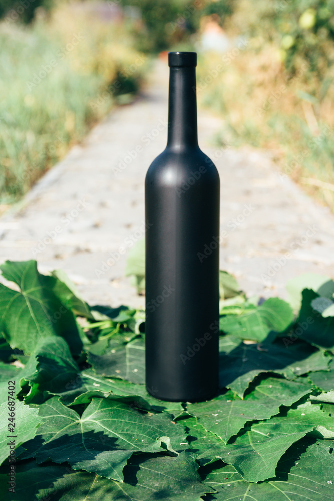a bottle of black on the background of grape leaves, in the leaves, on the street. vineyard in the countryside. natural production. Home wine.