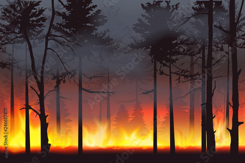 Realistic silhouette wildfire forest fire disaster landscape vector illustration.