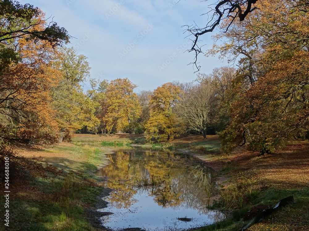 Trockener Sommer im Park Trockener Sommer im Park