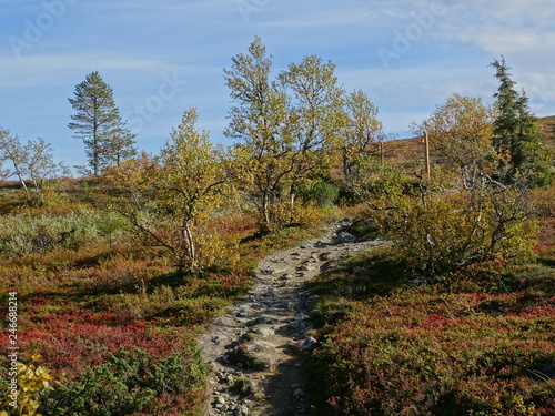 Wandern in Pallastunturi (Finnland)