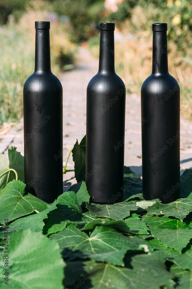 three black wine bottles, stand on green, grape leaves, on the road in the village. the back garden and the house are seen. natural production. Home wine.