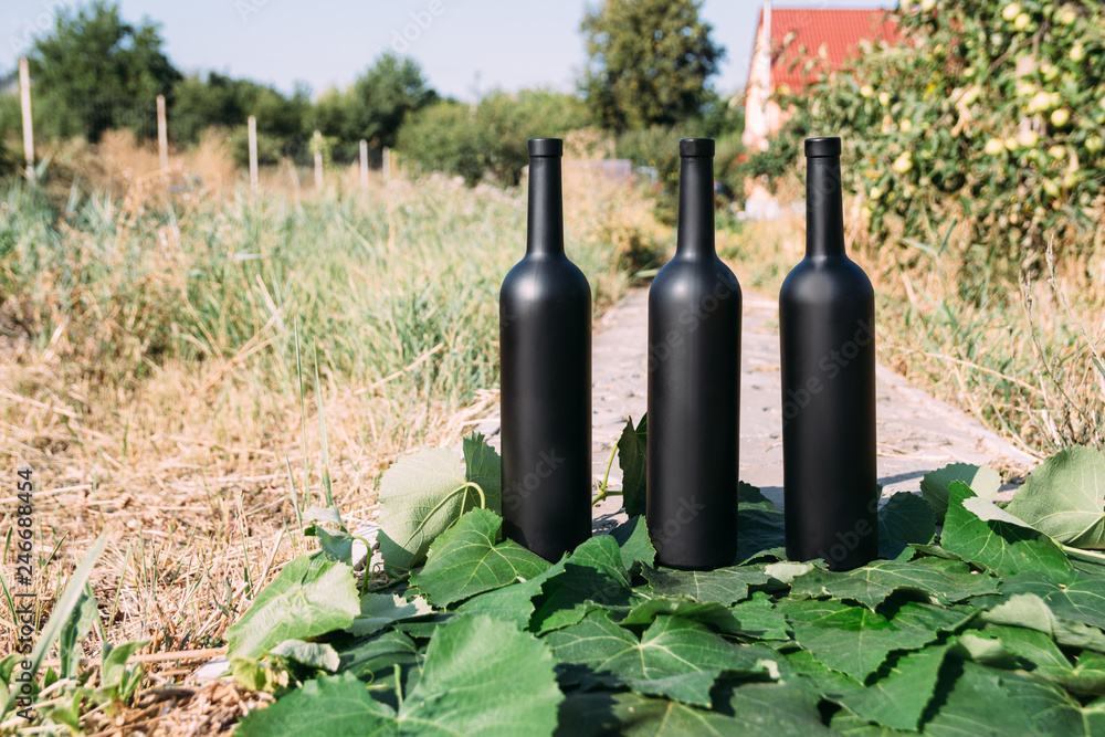 three black wine bottles, stand on green, grape leaves, on the road in the village. the back garden and the house are seen. natural production. Home wine.