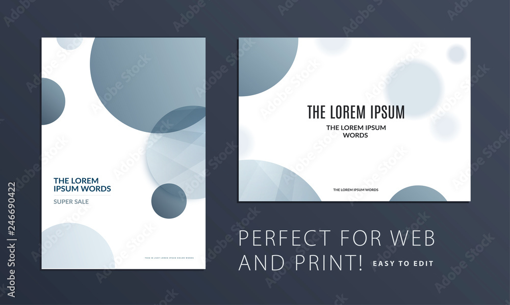 Set of Abstract design brochure in modern style, creative catalog, flyer in A4 with grey blue circles for branding, presentation, marketing kit. Business vector cover