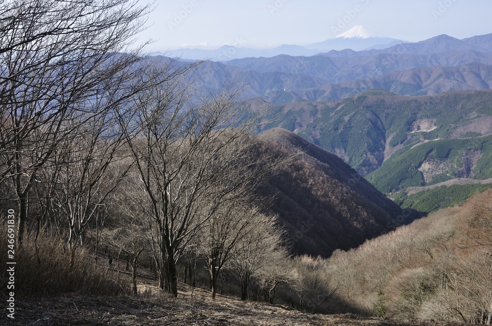 鷹ノ巣山からの富士山遠望