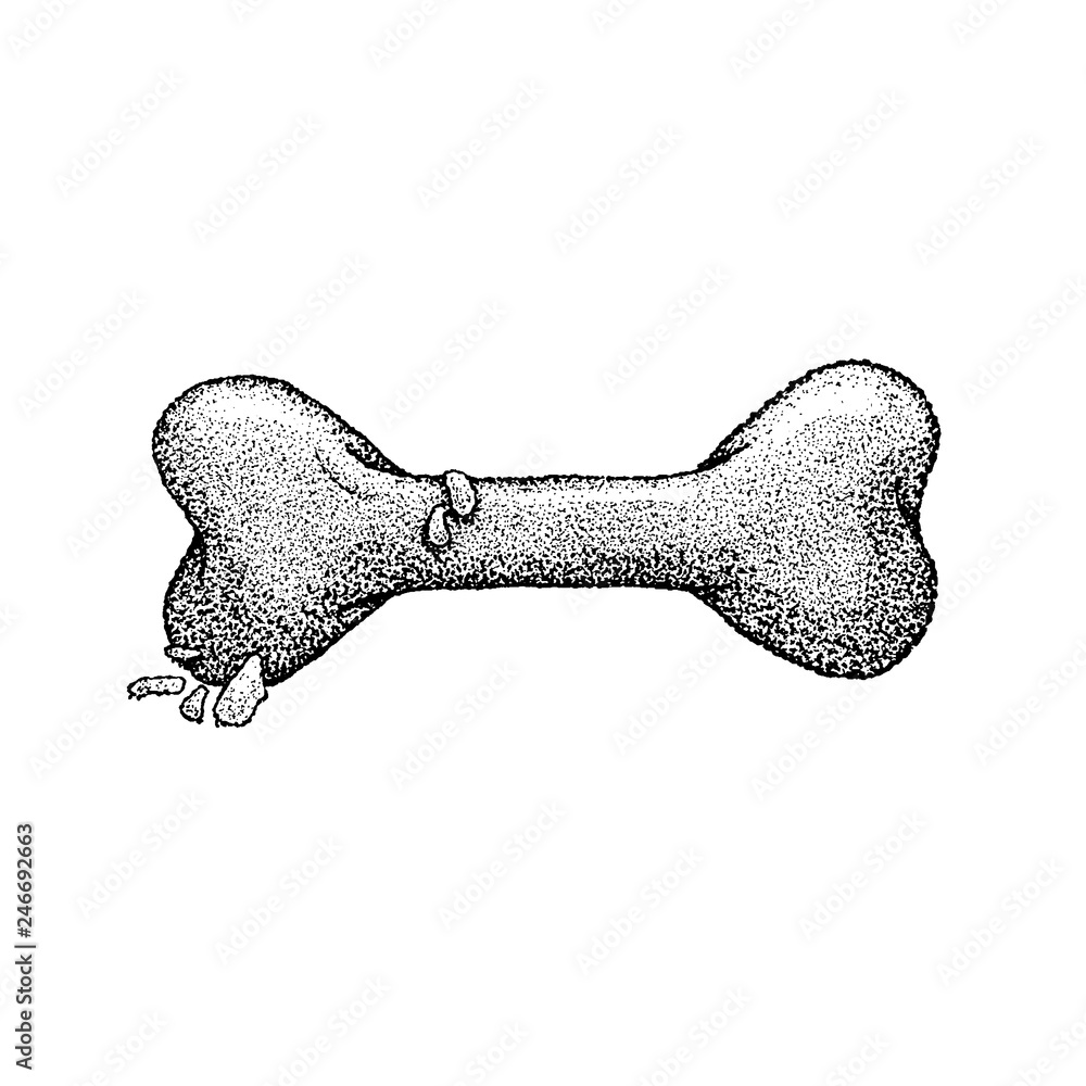 Fototapeta premium Dotwork Dog Bone