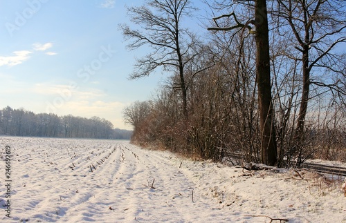 Wintertraum, Landschaft im Traum