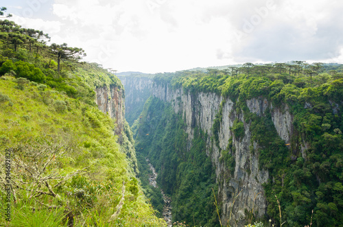 Beautiful landscape of Itaimbezinho Canyon and green rainforest  Cambara do Sul  Rio Grande do Sul  Brazil