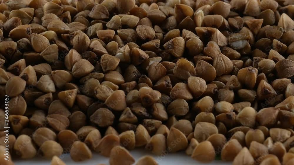 buckwheat. fresh buckwheat. dry buckwheat background. buckwheat texture buckwheat. fresh buckwheat. dry buckwheat background. buckwheat texture
