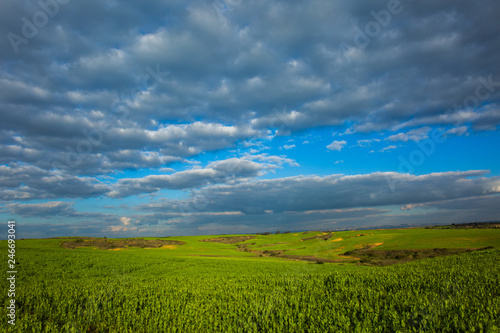Open field with blue cloudy sky background.