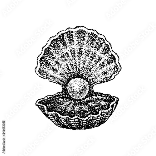 Dotwork Shell with Pearl