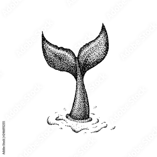 Dotwork Whale Tail
