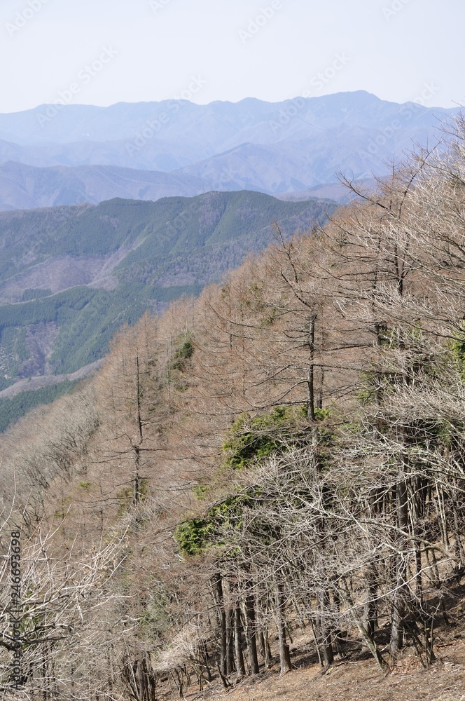 奥多摩の鷹ノ巣山から大菩薩連嶺を眺める 奥多摩の鷹ノ巣山から大菩薩連嶺を眺める