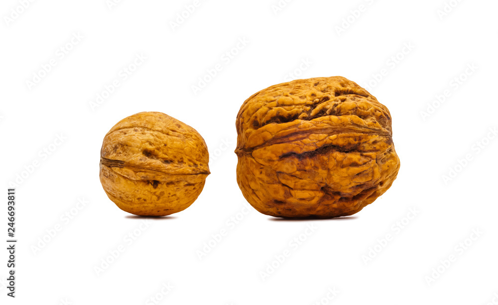 two walnuts isolated on a white background two walnuts isolated on a white background