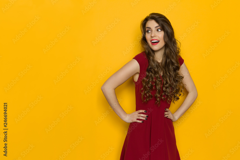 Beautiful Woman In Red Dress Is Looking Away And Talking Beautiful Woman In Red Dress Is Looking Away And Talking