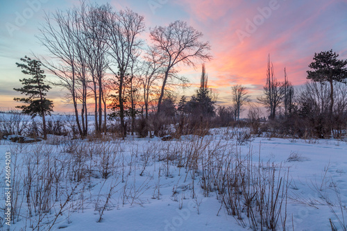 Beautiful pink sunset with snow in Erzurum, Turkey