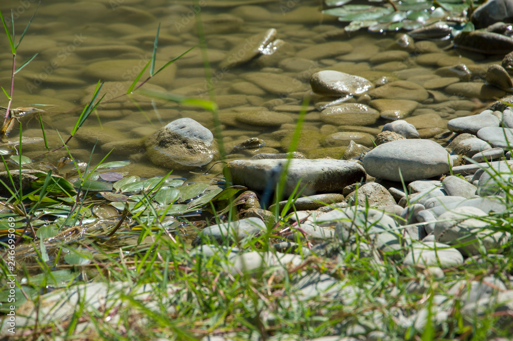 Naklejka premium Small stones river close up during a sunny day
