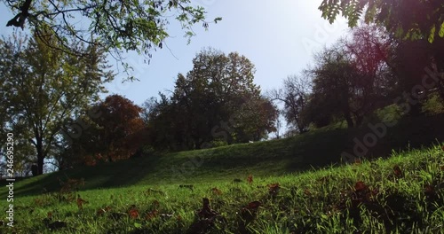 Green grass and autumn trees in the autumn sunlight in the heart of Budapest. photo