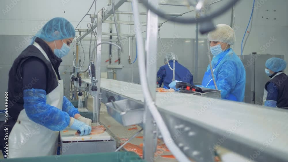 Factory unit with fillets of trouts getting chopped by workers Factory unit with fillets of trouts getting chopped by workers
