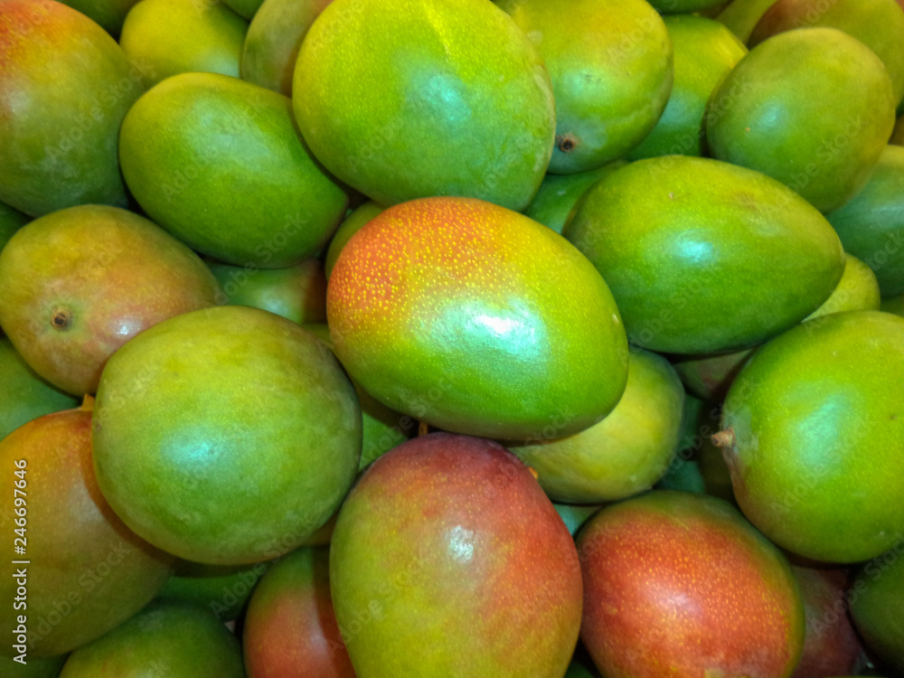 a bunch of ripe exotic mango fruits a bunch of ripe exotic mango fruits