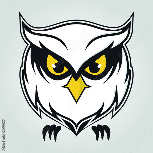 Fototapeta Naklejka Na Ścianę i Meble -  logo owl vector