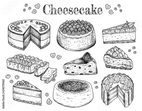 Vector illustration of hand drawn sketch cheesecakes. Food, tasty dessert, slice, piece, cake with cheese. Cheesecake with berries and fruits. Doodle sweet bakery products. Vintage background. Menu.