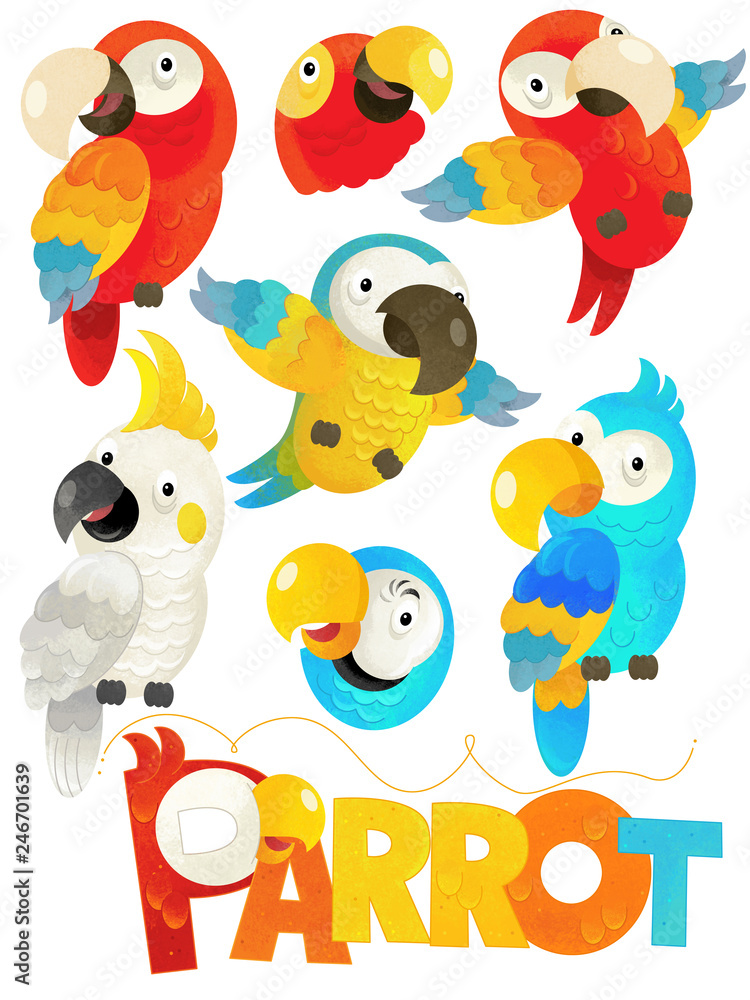 cartoon scene with set of parrots on white background with sign name of animal - illustration for children