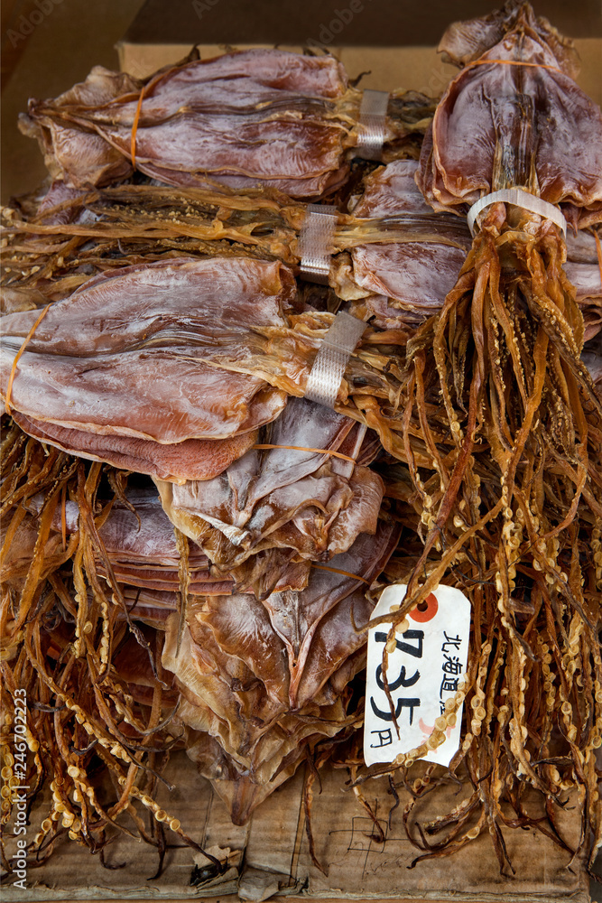 Japanese Dried Squid