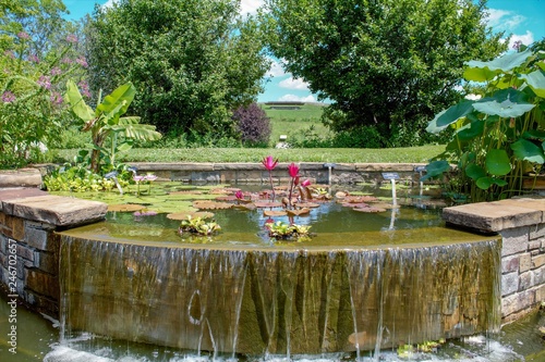 Japanese Water Garden in the Park