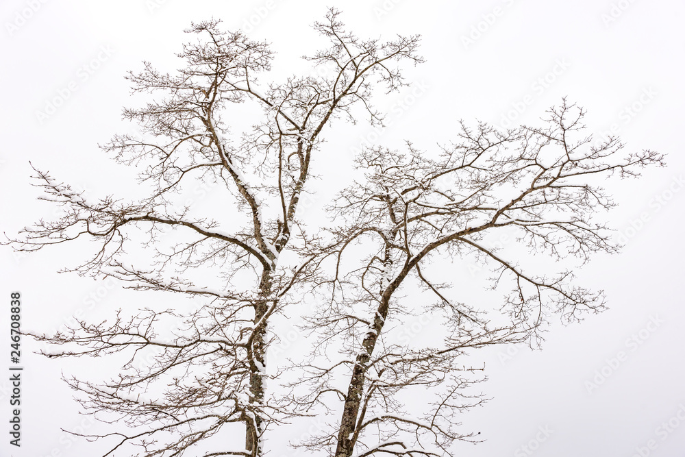 雪の城山10