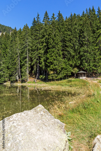 Summer landscape of  Saladzha Smolyan lake at Rhodope Mountains, Smolyan Region, Bulgaria photo