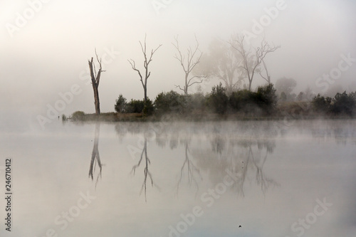 Morning fog at Bundamba Dalys Lagoon, Queensland photo