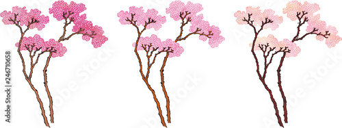 浮世絵　桜　その1