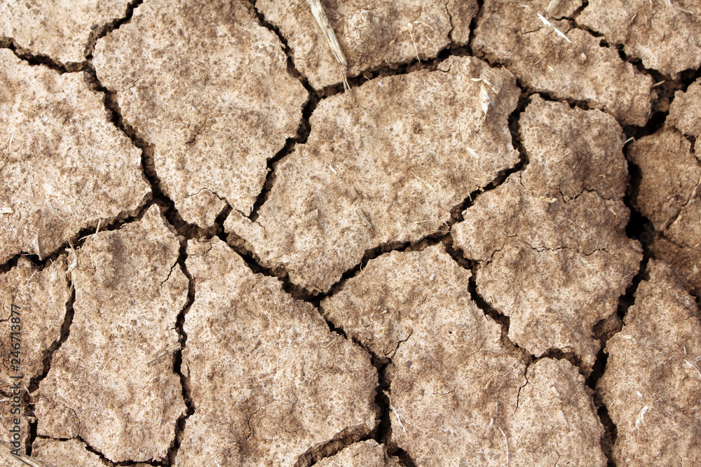 Fototapeta premium Dry land. Dry cracked earth background, clay desert texture
