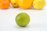 green lemon on the background of different citrus fruits on white background