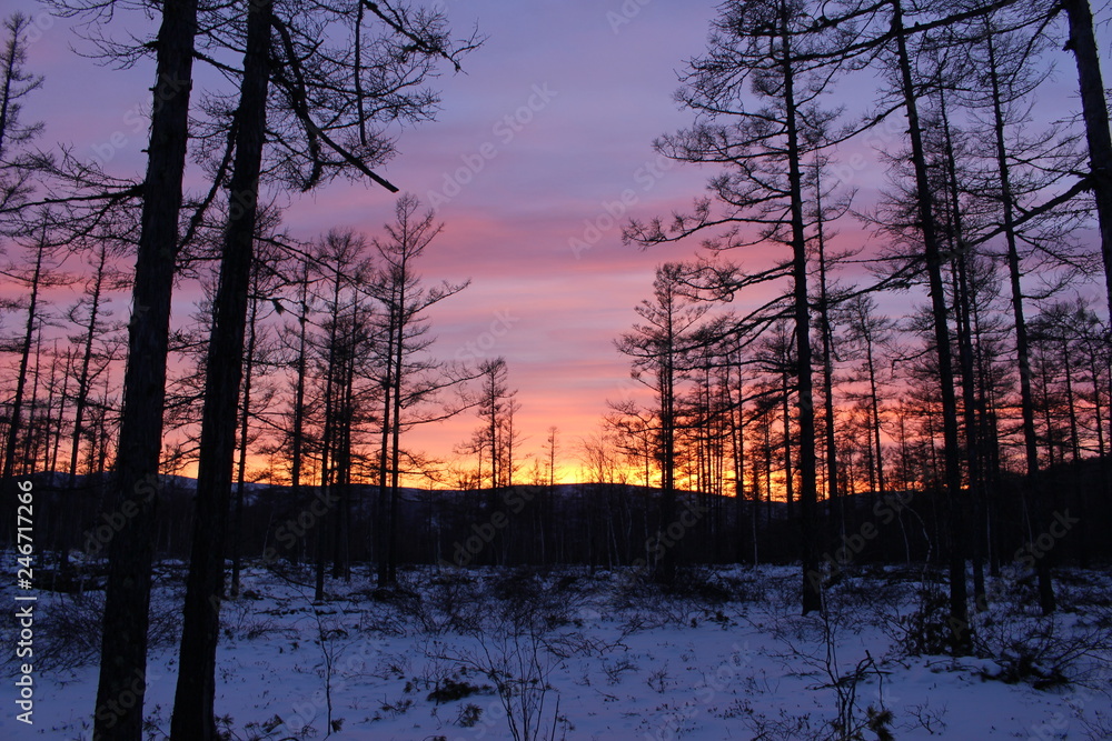 sunset sunset